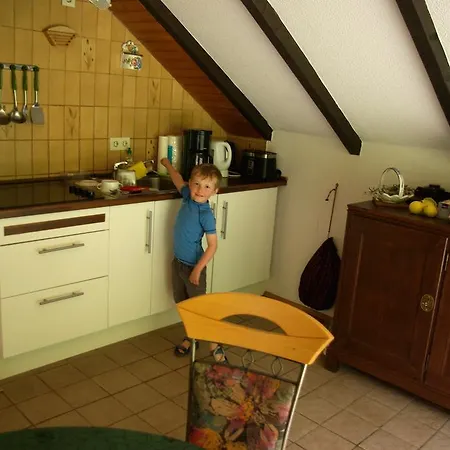 Haus Am Philosophenweg Apartament Daun